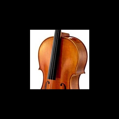 Parte de violino de madeira castanho claro com cordas pretas