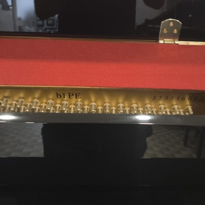 Parte interna de piano preto com feltro vermelho e texto b1 PE e J23116043