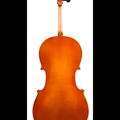 Parte traseira de um violoncelo castanho alaranjado com acabamento brilhante