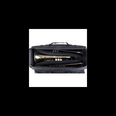 Trompete dourado dentro de mala preta