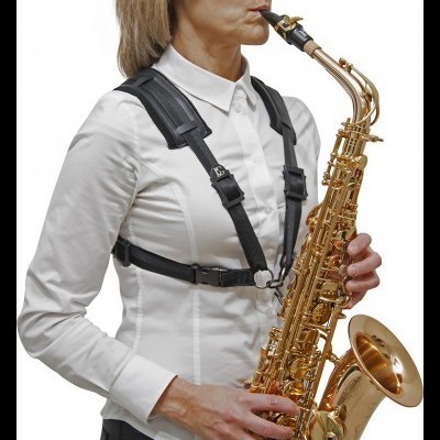 Pessoa a tocar saxofone alto dourado com arnês preto