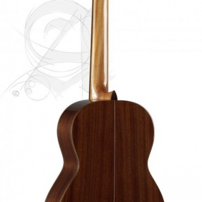 Guitarra clássica de madeira vista de costas com fundo branco