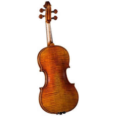 Violino de madeira castanha visto de costas sobre fundo branco