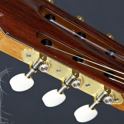 Cabeça de guitarra clássica em madeira castanha com cravelhas douradas e botões brancos