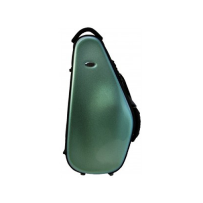 Estojo rígido verde para instrumento musical com pega preta