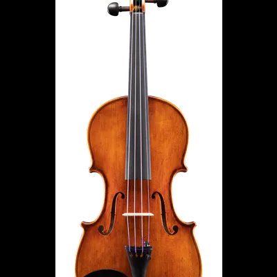 Violino de madeira polida castanha com cordas e queixeira preta