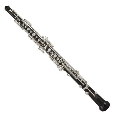 Clarinete preto com chaves metálicas prateadas isolado em fundo branco