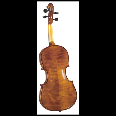 Violino de madeira castanho-dourada, vista traseira, fundo branco