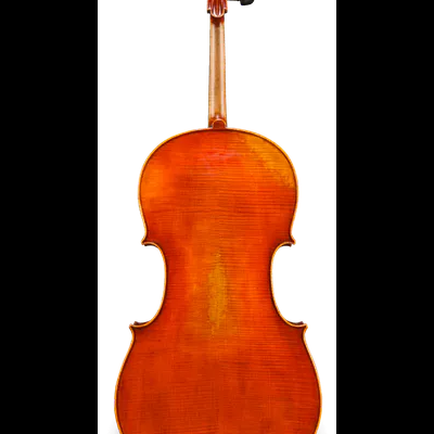 Violino em madeira laranja-avermelhada visto da parte traseira