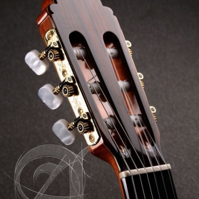 Cabeça de guitarra clássica em madeira escura com tarraxas douradas