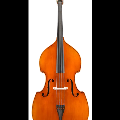 Contrabaixo em madeira castanha alaranjada sobre fundo branco