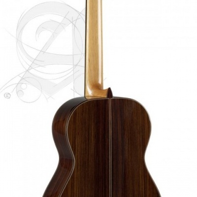 Guitarra clássica vista de trás com corpo em madeira escura e pescoço em madeira clara