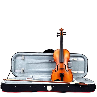 Violino e arco dentro de estojo rígido aberto