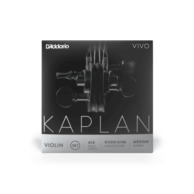 Caixa de cordas para violino D'Addario Kaplan Vivo preto e cinza