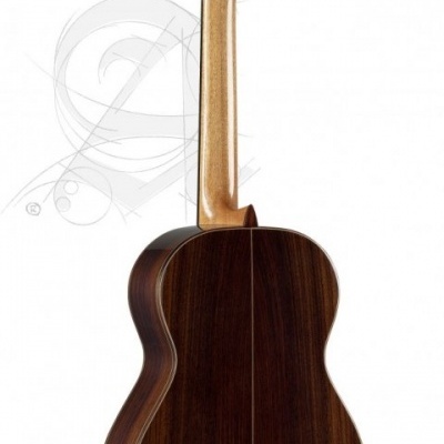 Violão clássico visto de trás em madeira escura e braço em madeira clara