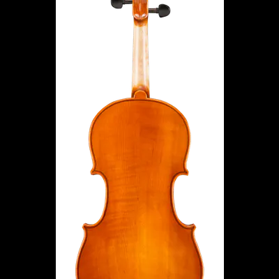 Violino em madeira castanho-avermelhada com pavilhão e cravelhas escuras