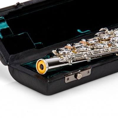 instrumento musical de metal prateado num estojo preto