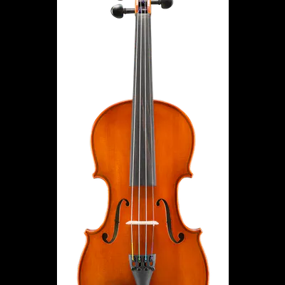 Violino castanho alaranjado com detalhes pretos