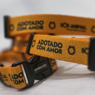 Coleiras amarelas para animais com texto 'ADOTADO COM AMOR'