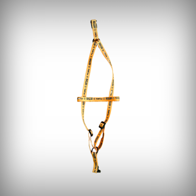 Arnês amarelo para cães com texto Love for dogs e fechos pretos