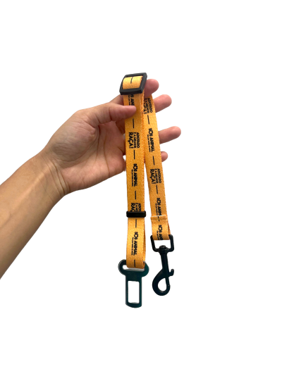 Trela laranja para cães com texto preto segurada numa mão