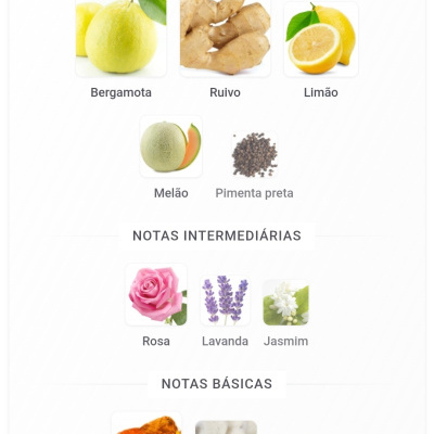 Imagem de ingredientes para fragrância divididos em notas principais, intermédias e básicas