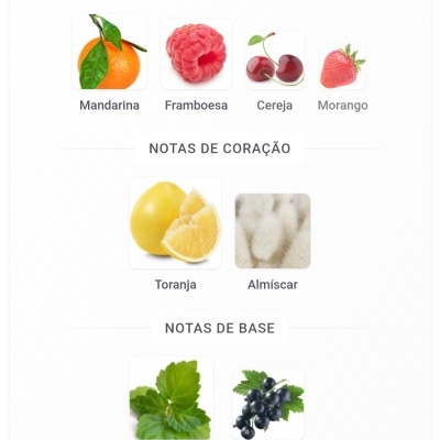 Notas de fragrância em três categorias: topo, coração e base com imagens de frutas e folhas