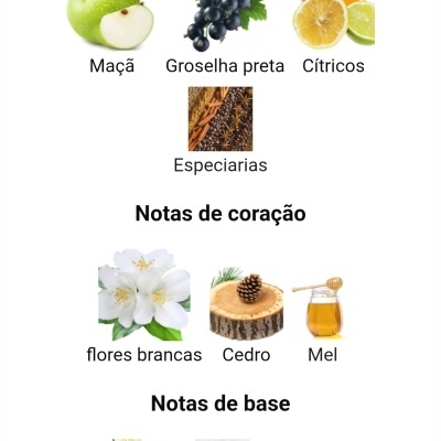 Notas olfativas divididas em topo, coração e base com imagens associadas