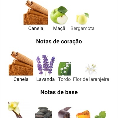 Notas de fragrância com imagens de ingredientes como canela, maçã, bergamota, lavanda, tordo, flor de laranjeira, baunilha, fava tonka, tabaco, âmbar e patchuli