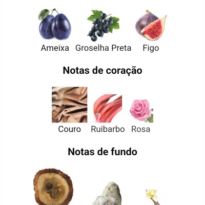 Notas olfativas principais ameixa, groselha preta, figo, notas de coração couro, ruibarbo, rosa, notas de fundo oud, âmbar cinzento, baunilha