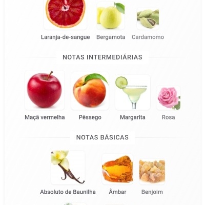 Notas olfativas de perfume divididas em principais, intermédias e básicas com imagens de frutas, especiarias e flores.