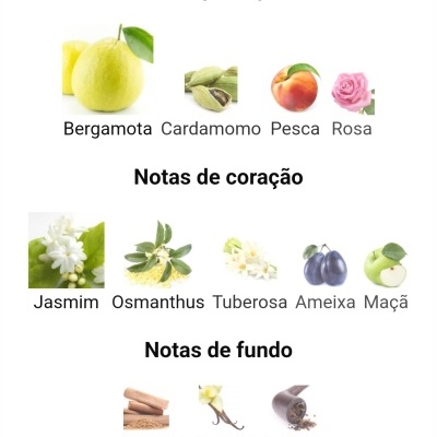 Ilustração de ingredientes com texto em português divididos por notas principais, notas de coração e notas de fundo.