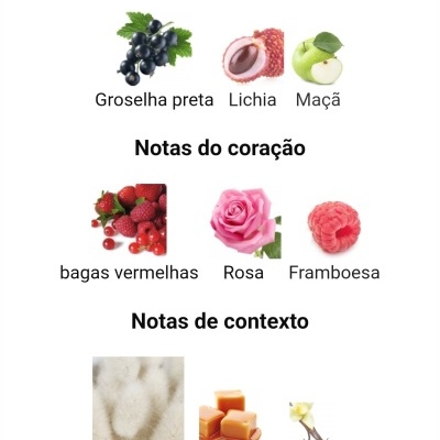 Notas olfativas de perfume representadas por frutas e flores associadas aos seus nomes em português.