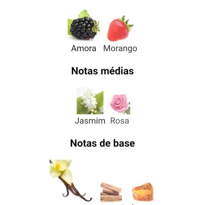 Notas olfativas com imagens de amora, morango, jasmim, rosa, baunilha, sândalo e âmbar