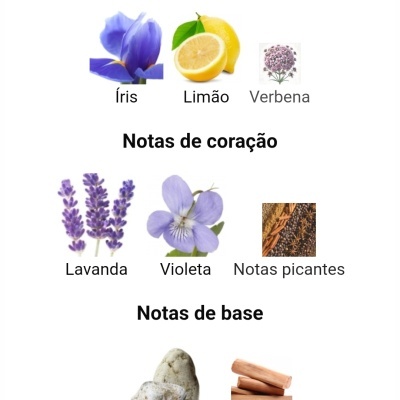 Notas de fragrância divididas em topo, coração e base com imagens de flores, frutas, especiarias e madeiras