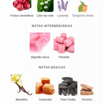 Notas olfativas de um produto com imagens e textos de ingredientes