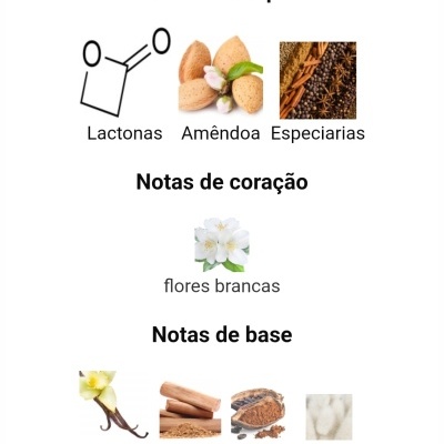 Notas olfativas de fragrância com imagens e texto em português.