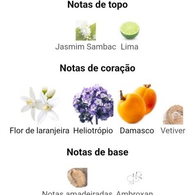 Notas de fragrância com imagens de jasmim, lima, flor de laranjeira, heliotrópio, damasco, vetiver, madeira e estrutura química de Ambroxan