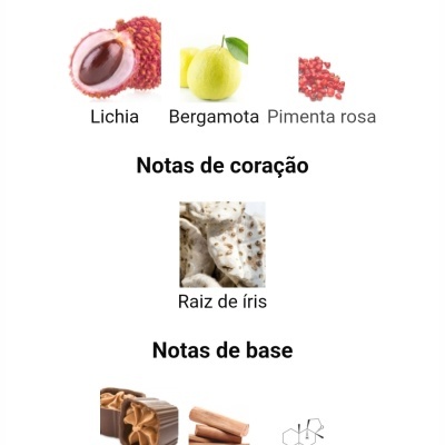 Notas de topo, coração e base com imagens de ingredientes