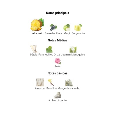 Notas olfativas principais, médias e básicas com imagens representativas de cada ingrediente