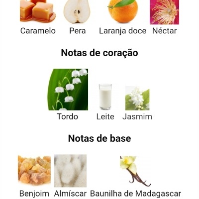 Notas olfativas divididas em topo, coração e base para perfume.