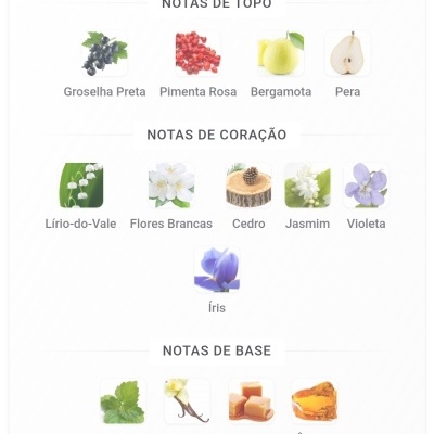Ingredientes divididos em notas de topo, coração e base com imagens e texto