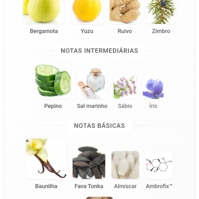 Notas olfativas principais, intermédias e básicas com imagens de ingredientes