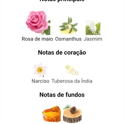 Notas principais, notas de coração e notas de fundos com imagens de flores e elementos naturais