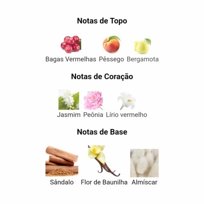 Notas olfativas divididas em topo, coração e base com imagens de frutas, flores, madeira e algodão.