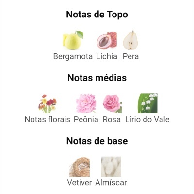 Notas olfativas do produto com imagens de frutas e flores
