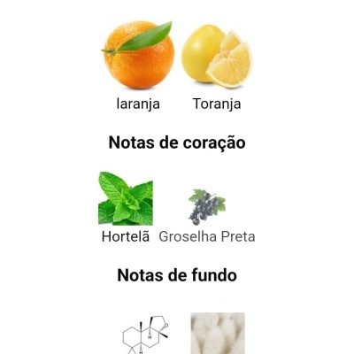 Notas de fragrância com imagens de laranja, toranja, hortelã, groselha preta, ambroxano e almíscar.