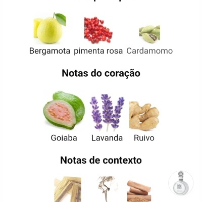 Notas principais, do coração e de contexto de perfume com imagens de frutas, flores, especiarias e madeiras