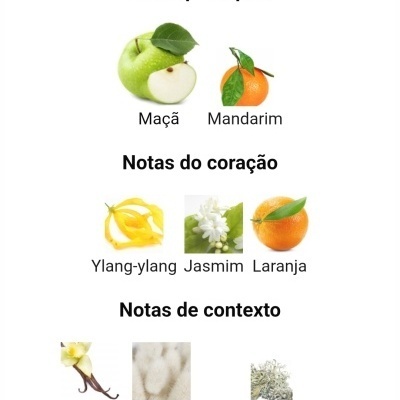 Frutas e flores com texto em português sobre notas de coração e notas de contexto.