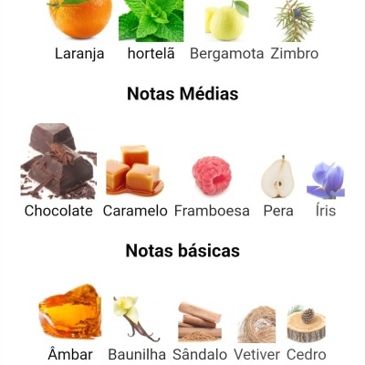 Notas principais, médias e básicas de fragrâncias com imagens das essências correspondentes